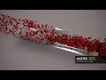 3d animated blood flow - particle simulation