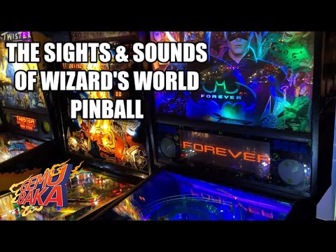 The Sights & Sounds of Wizard's World Pinball Arcade