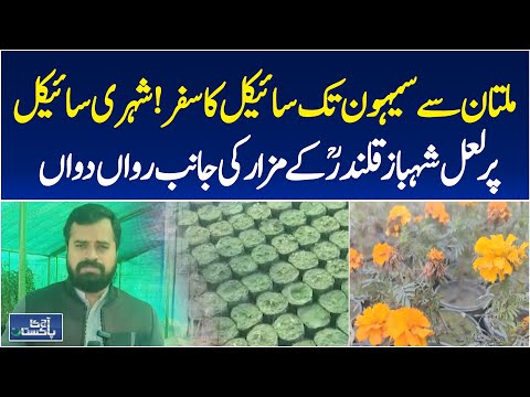 Spring Flowers Preparation | Nurseries Blooming | Seasonal Plants Pakistan | Aaj Pakistan News