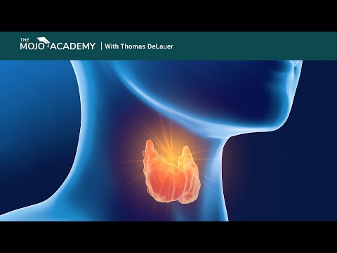 download lagu mp3 mp4 Hashimotos And Intermittent Fasting, download lagu Hashimotos And Intermittent Fasting gratis, unduh video klip Hashimotos And Intermittent Fasting