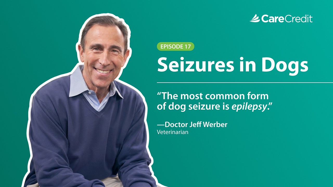 CCWellU-Video-Dog Seizures