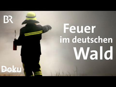 Spezialeinsatz Waldbrand: Sind Großfeuer ein Problem für die deutschen Feuerwehren? | DokThema | BR