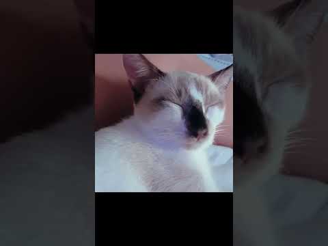 watching them grow up