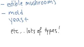 Fungi (worked example)