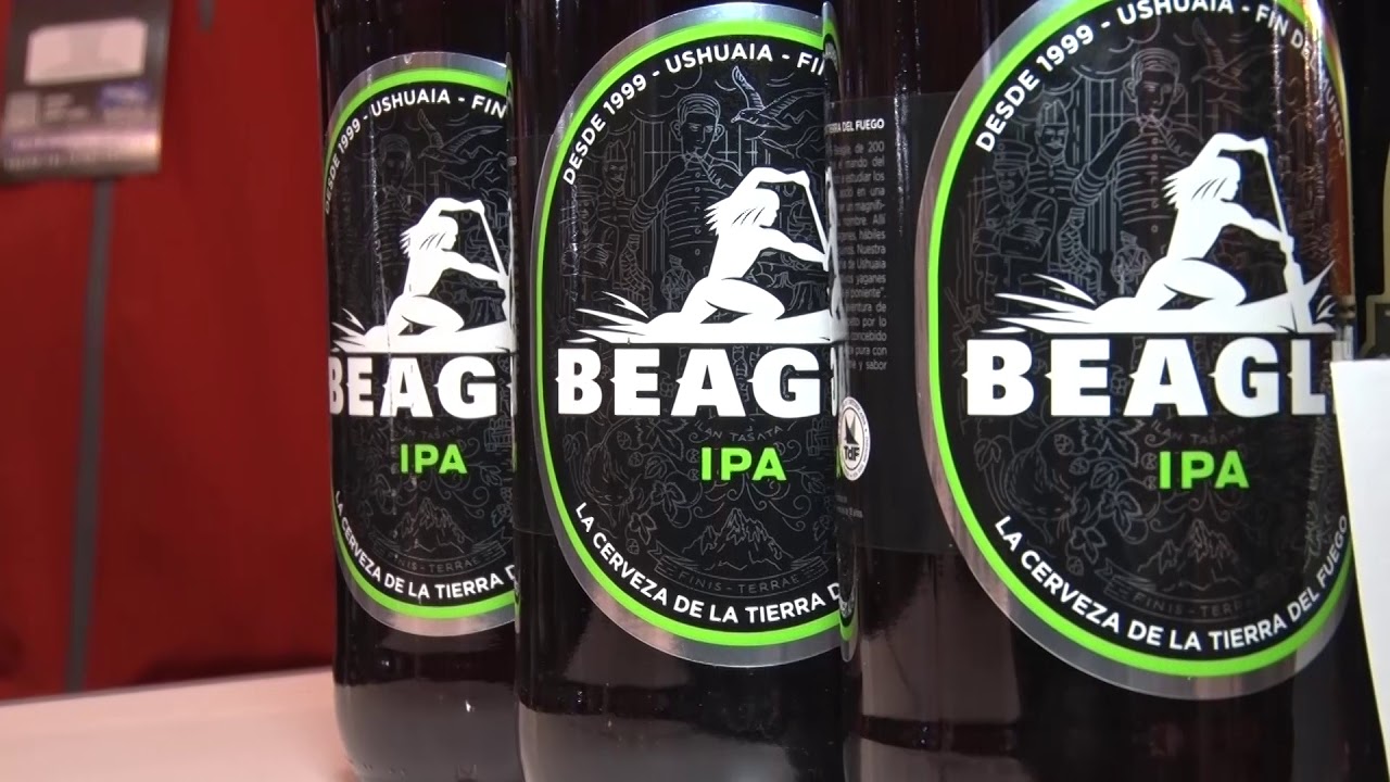 Gustavo Alvarez Cerveza Beagle