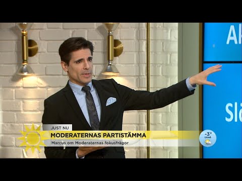 Marcus Oscarsson: "M vill utreda dödshjälp och slöjförbud i skolan" - Nyhetsmorgon (TV4)