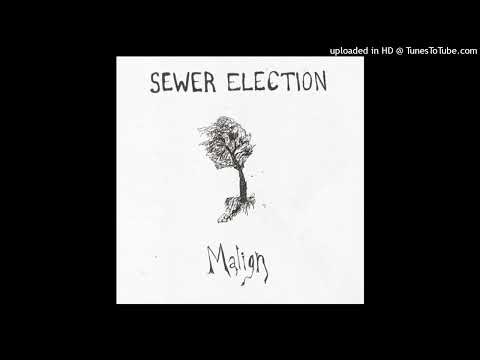 Sewer Election - Dream bizarre