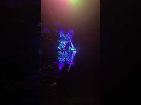 Hyperactive25 live @ Astralkitty Thurgau Hagenbuch 2023