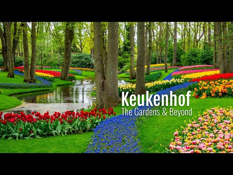 Keukenhof Guide: 10 Essential Tips & Nearby Villages to Explore