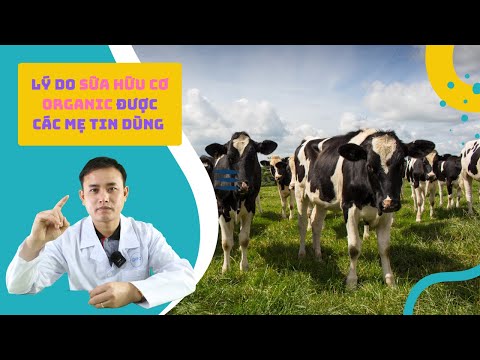 , title : 'Liệu bạn đã biết đến lợi ích của dòng sữa cao cấp hữu cơ Organic? | Dinh dưỡng cao cấp Gafo'