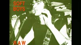 The Soft Boys - Innocent Boy