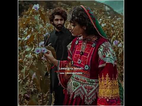 taliba wrana ba shi sta lewane meena wanare