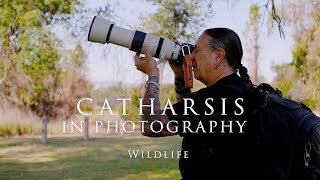 Catharsis through Photography 📷