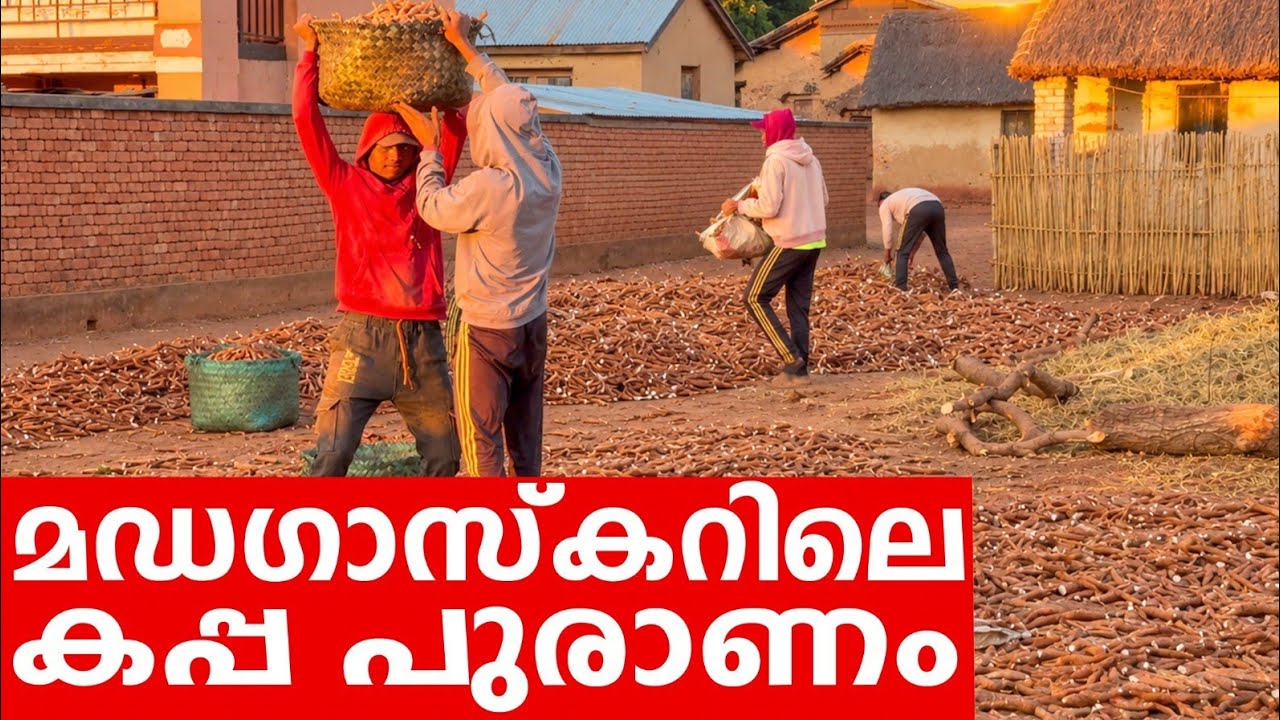 Sancharam | Madagascar - 09 | Santhosh George Kulangara | Safari TV