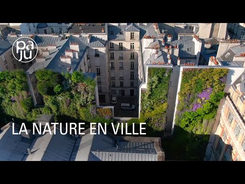 Les incroyables créations végétales d’un botaniste sur les murs des villes