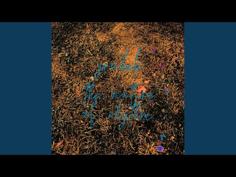 the nature of rhythm