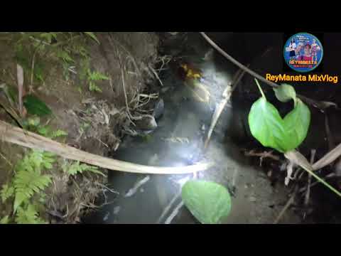 Pangingilaw ng hipon sa ilog,iniligaw kame#TIKBALANG apat na beses kame balik-balik sa kabundukan.