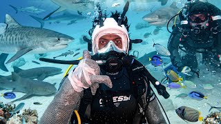 irl stream in Bahamas 🇧🇸 + Shark Diving 🦈