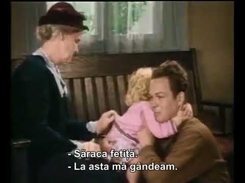 Stan & Bran - Gata Cu Necazurile