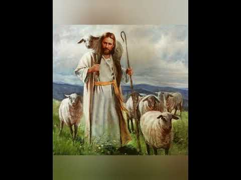 Los pasteles verdes solitario