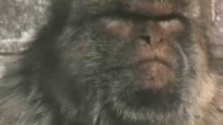 Gibraltar, British Territory - Travel - Jim Rogers World Adventure