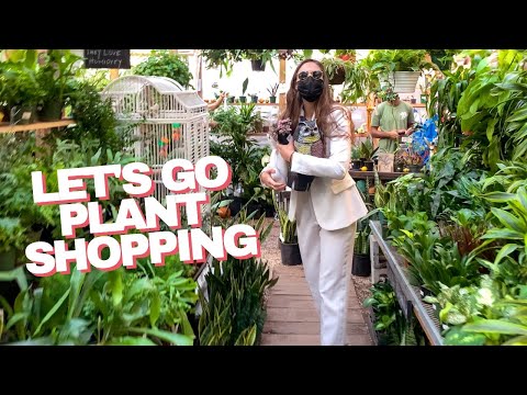 Plant Shopping at Brooklyn's Crest Hardware | Molly & Ciara Suit Up for Pumpkins, Plants & Champagne