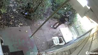 compilation of creeps approaching my house