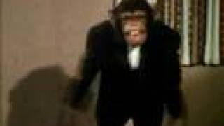 Bonobo Power Music Video