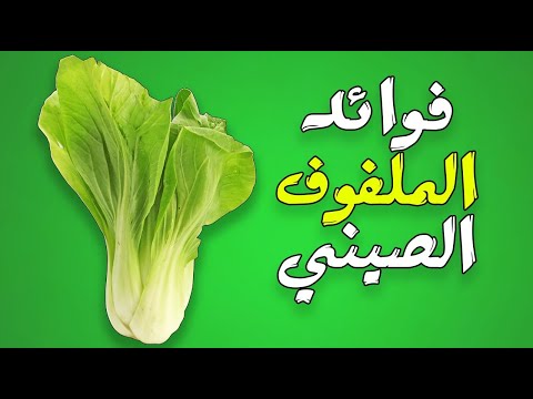 ما هي فوائد الملفوف الصيني ( البوك تشوي ) ؟