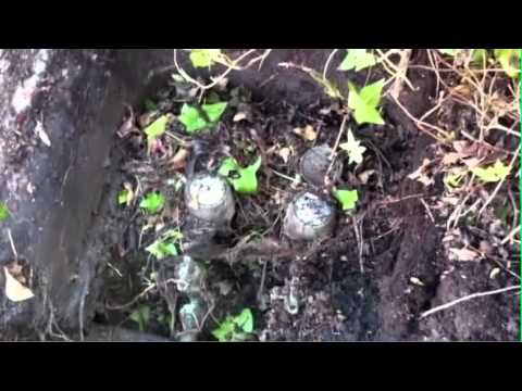 Mud Dog Winterization Procedures Video