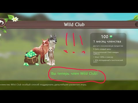 КАК ПОЛУЧИТЬ WILD CLUB/ХАЛЯВА⏭️