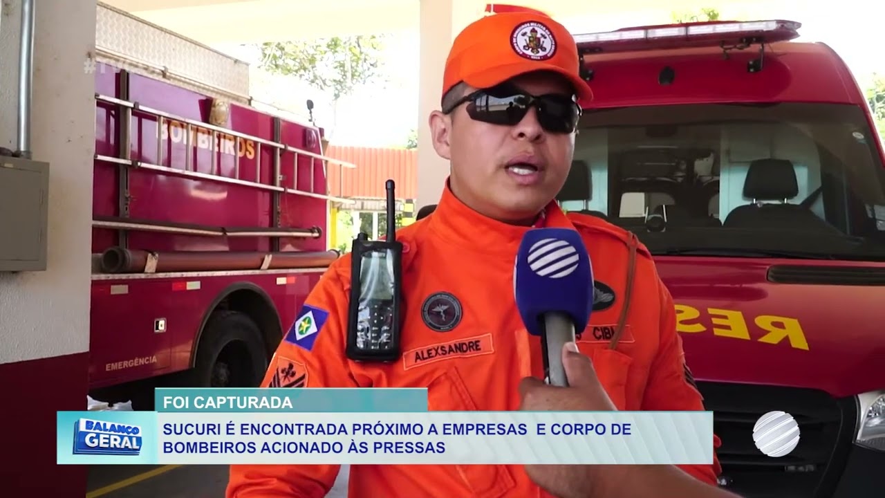 Cobra Gigante de 5 Metros é Capturada Perto de Empresa em Lucas do Rio Verde.