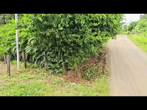 Venta Lote en Bejuco Nandayure Guanacaste Uso Mixto Costa Rica