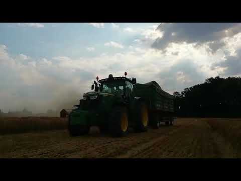 Żniwa Jęczmienne W AgroPlon Głuszyna | 2x John Deere 3x Class Lexion |