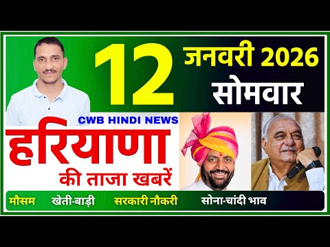 12 January 2026 Haryana News || हरियाणा की ताजा खबरें || Haryana News || CWB Hindi News