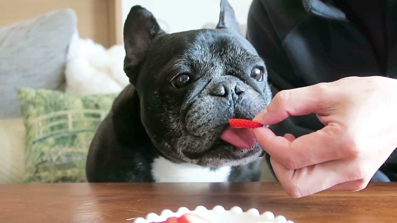 こないだの3連休のお家ご飯とデザートまとめ