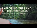 Why You Should Visit Sarawak