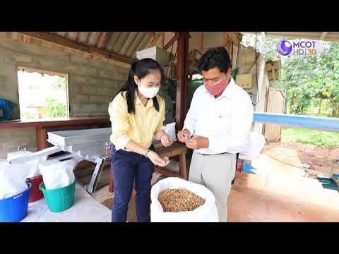 รักษ์ผืนดินถิ่นส.ป.ก. ปี๒/ตอนที่๑๐.เรื่องกาแฟถ้ำสิงห์ ยกระดับกาแฟรบัสต้า เพิ่มมูลค่าสู่ชุมชน