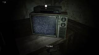 バイオ7　イーサン語録　「マジかよ」