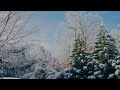Loreena McKennitt. "Good King Wenceslas". 1995. (Song with Lyrics).