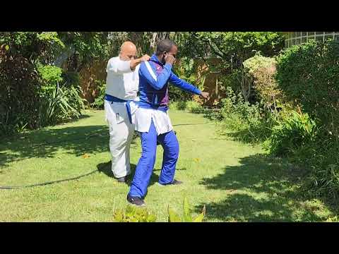 Hiki Taoshi of Ashihara karate Feb 24