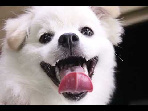 기본썸네일이미지