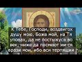 Псалом Молитва на удачу в работе и везение во всех делах, Псалом 24