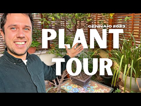 60+ TERRACE PLANTS 🌿 Rome Garden Winter PLANT TOUR | January 2023