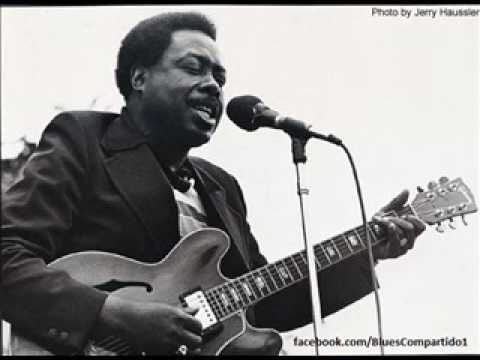 Jimmy Rogers - Chicago Blues Festival,  Petrillo Bandshell,  Grant Park,  Chicago. 1994