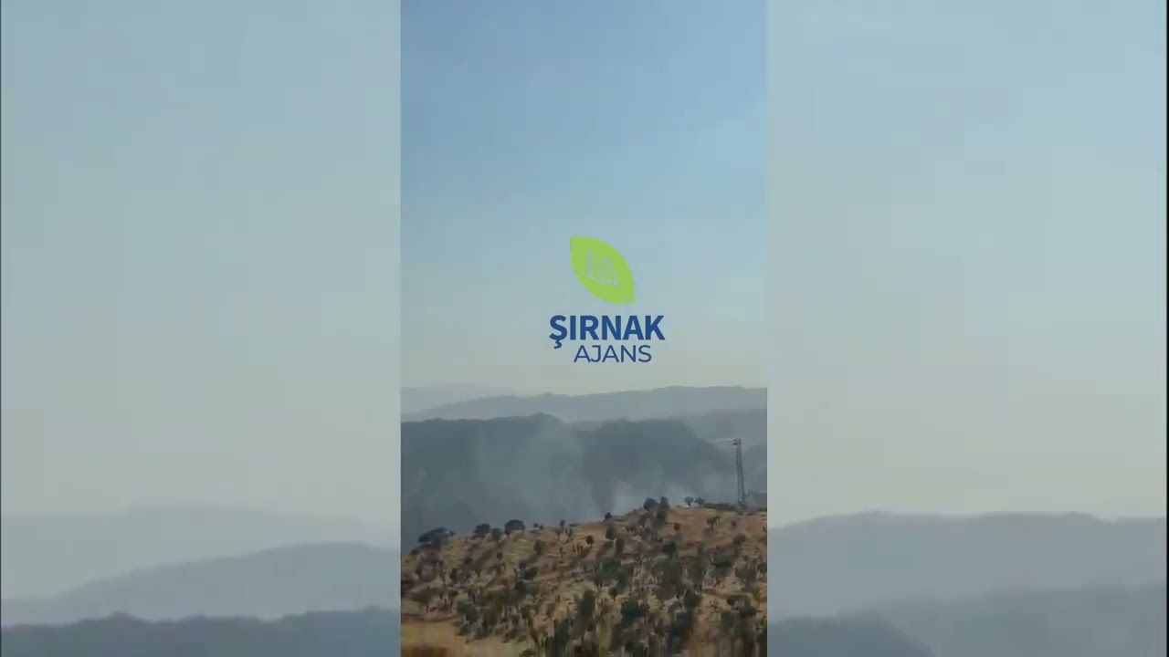 Sınır hattında yangın paniği, anız yangını ormanlık alana sıçradı