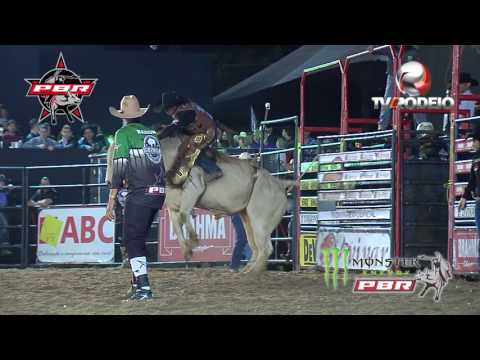 Lucas Divino x touro Gold Boy (Cia Guto Paglione)