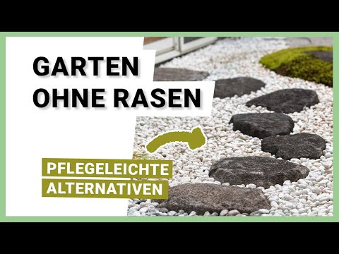 Garden without a lawn: What alternatives do you have?