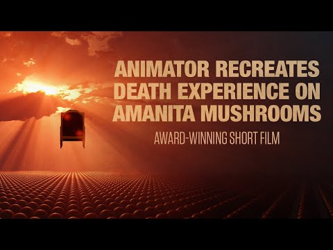 Amanita Muscaria Trip Animated - Dying on Amanitas - short film