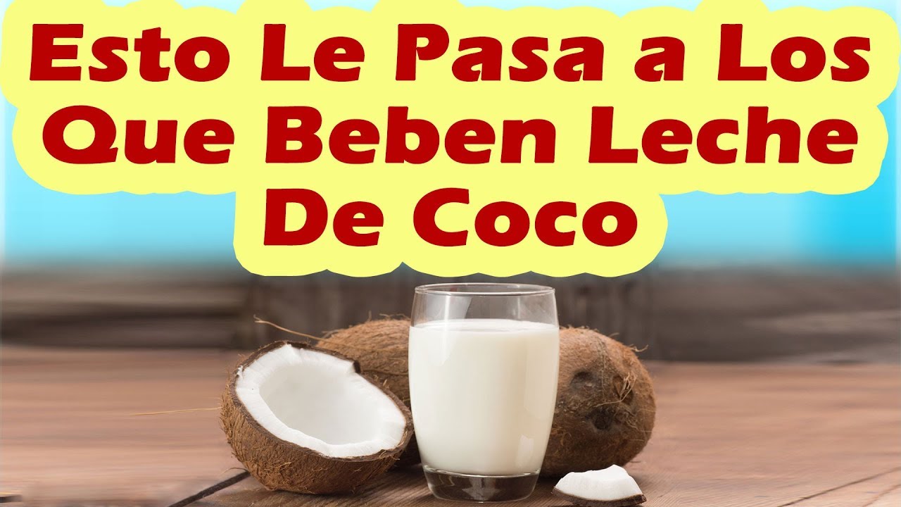 ESTO LES PASA A LOS QUE BEBEN LECHE DE COCO Propiedades Beneficios y Para Que Sirve La Leche De Coco